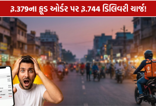 Food Delivery Charges: રૂ.379ના ફૂડ ઓર્ડર પર રૂ.744 ડિલિવરી ચાર્જ!