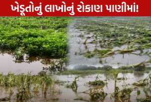 Vav Tharad Crop Damage: લાખોનું રોકાણ પાણીમાં ગયું