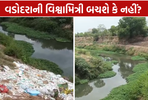 Vishwamitri River Pollution ઘૂંટાઈ રહી છે વડોદરાની ઓળખ