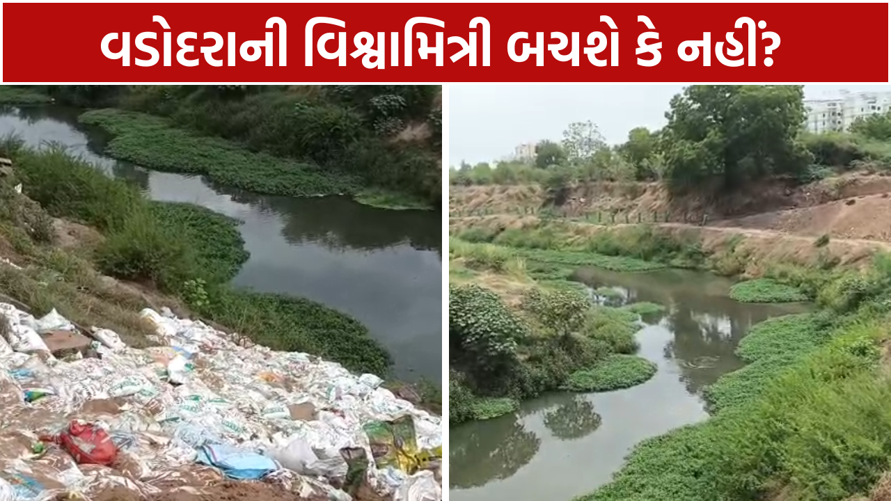 Vishwamitri River Pollution ઘૂંટાઈ રહી છે વડોદરાની ઓળખ