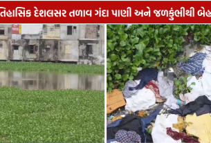 Desalsar Lake: તળાવ બન્યું ગટરનું ખાબોચિયું
