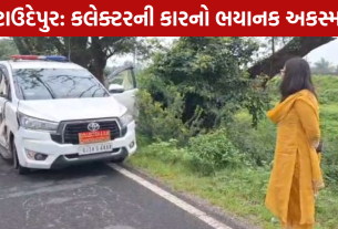 Gargi Jain Accident: છોટાઉદેપુર કલેક્ટરની કારને અકસ્માત