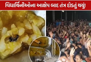 Bhavnagar Samaras Hostel: 4-5 મહિનાથી ભોજનમાં કીડા-મકોડાના આક્ષેપ