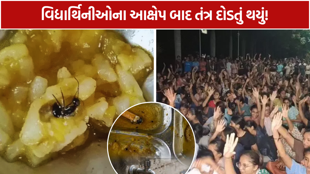 Bhavnagar Samaras Hostel: 4-5 મહિનાથી ભોજનમાં કીડા-મકોડાના આક્ષેપ