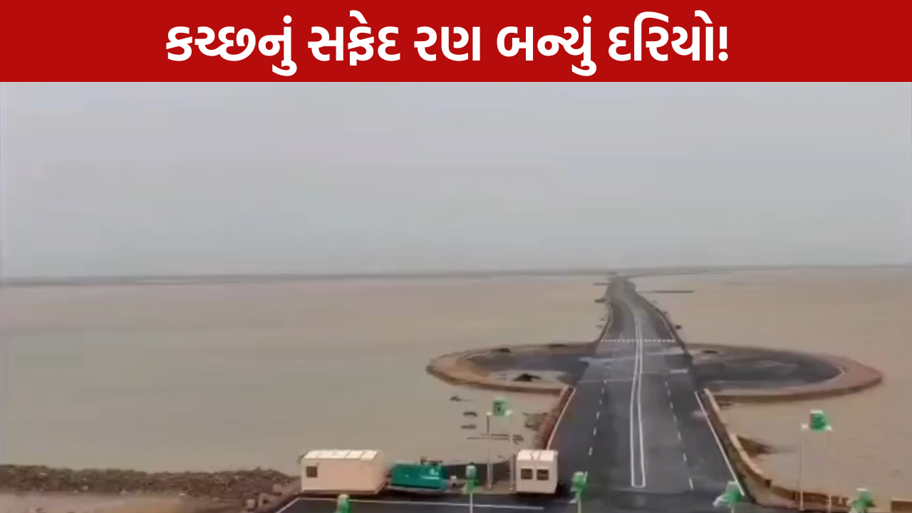White Rann Flooded: કચ્છનું સફેદ રણ બન્યું દરિયો