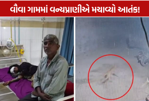 Wild Animal Attack: બાળકો-મહિલાઓ સહિત 15થી વધુ લોકો હોસ્પિટલમાં
