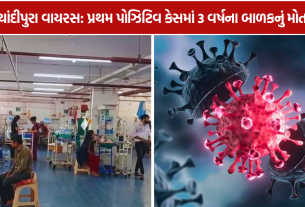 Chandipura Virus Jamnagar: પ્રથમ પોઝિટિવ કેસ, 3 વર્ષના બાળકનું મોત