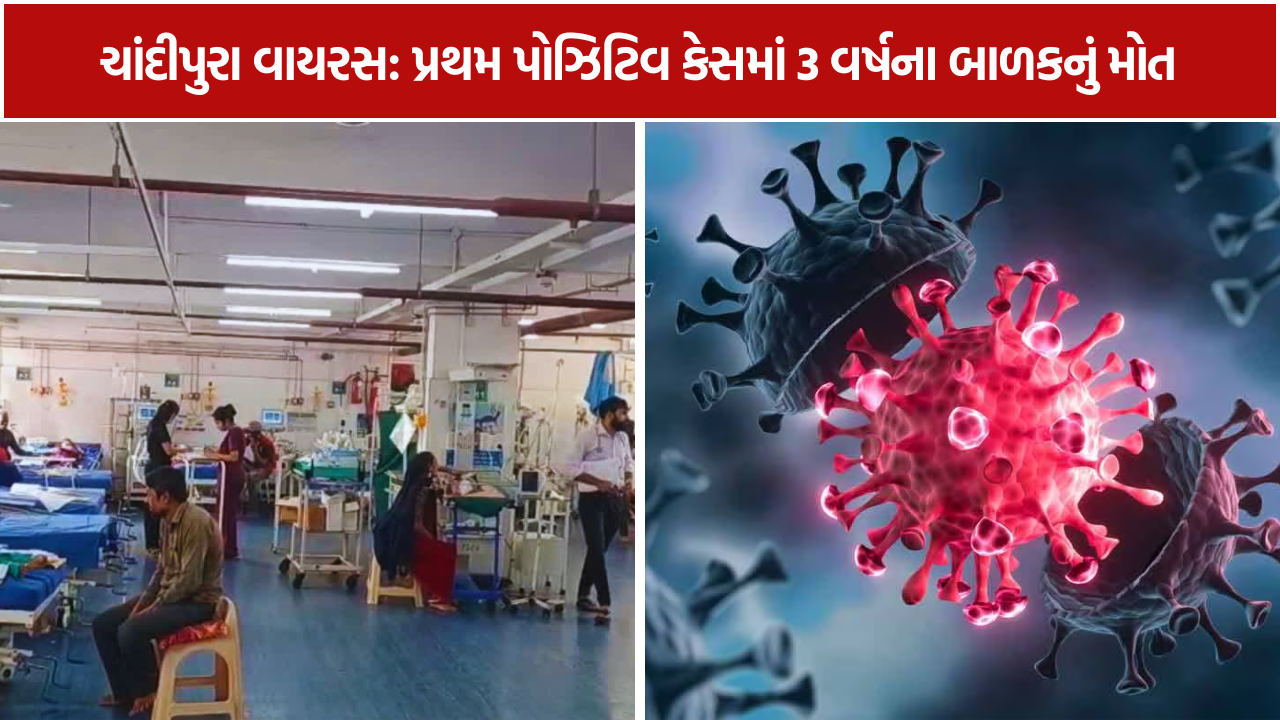 Chandipura Virus Jamnagar: પ્રથમ પોઝિટિવ કેસ, 3 વર્ષના બાળકનું મોત