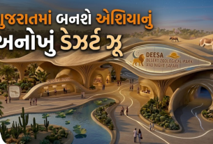 Deesa Desert Zoo: રૂ.542 કરોડના ડેઝર્ટ ઝૂમાં જોવા મળશે સિંહથી કાંગારૂ સુધીના પ્રાણી