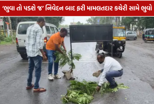 Navsari Pothole: વિકાસના દાવા વચ્ચે રસ્તા પર ભુવો, રૂ.1288 કરોડના બજેટને લઈને સવાલ