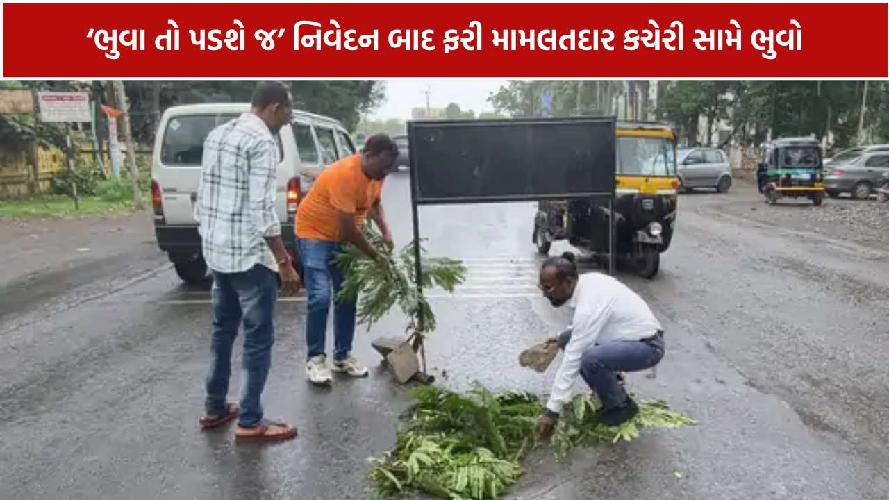 Navsari Pothole: વિકાસના દાવા વચ્ચે રસ્તા પર ભુવો, રૂ.1288 કરોડના બજેટને લઈને સવાલ