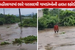 MahiSagar Heavy Rain: 4 ગામ સંપર્કવિહોણાં, 28 લોકોનું રેસ્ક્યુ; 100 લોકો ગામમાં ફસાયા
