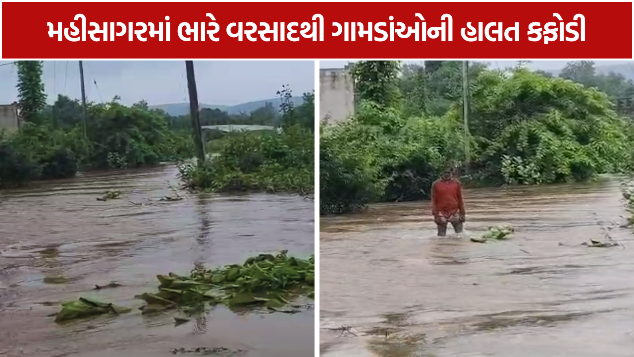 MahiSagar Heavy Rain: 4 ગામ સંપર્કવિહોણાં, 28 લોકોનું રેસ્ક્યુ; 100 લોકો ગામમાં ફસાયા