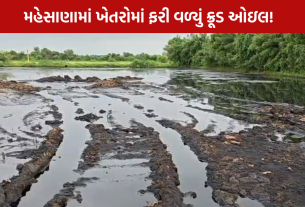 ONGC Oil Leak: મહેસાણાના ખેડૂતો પર આફત