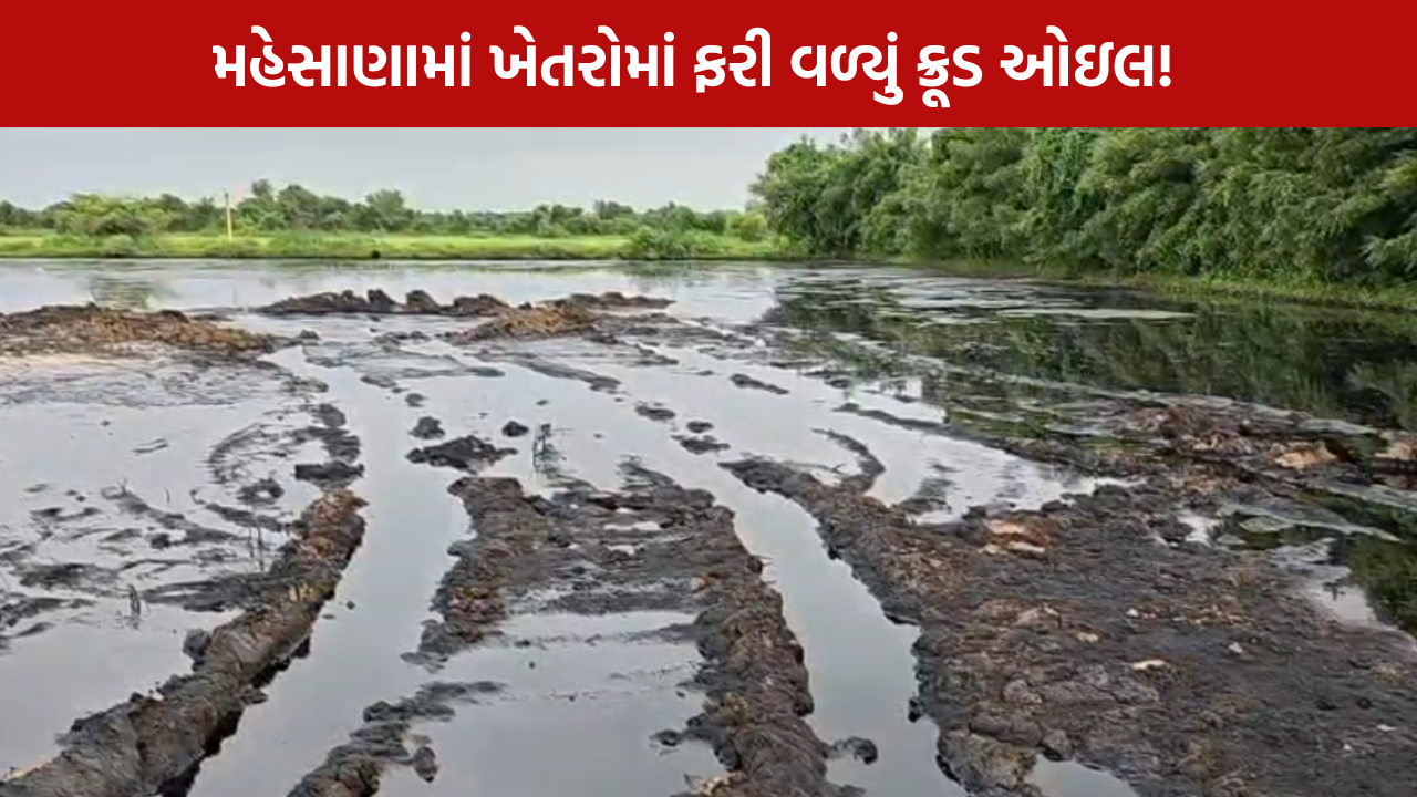 ONGC Oil Leak: મહેસાણાના ખેડૂતો પર આફત