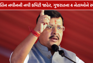 Nitin Nabin BJP Team: ભાજપના રાષ્ટ્રીય અધ્યક્ષ નીતિન નવીનની નવી ટીમની જાહેરાત