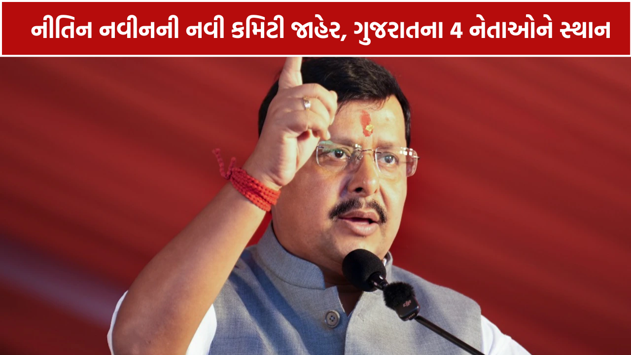 Nitin Nabin BJP Team: ભાજપના રાષ્ટ્રીય અધ્યક્ષ નીતિન નવીનની નવી ટીમની જાહેરાત