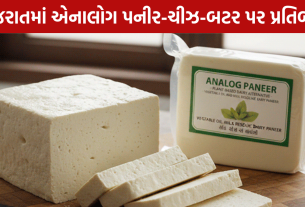 Analogue Paneer પર સરકારનો કડક પ્રહાર!