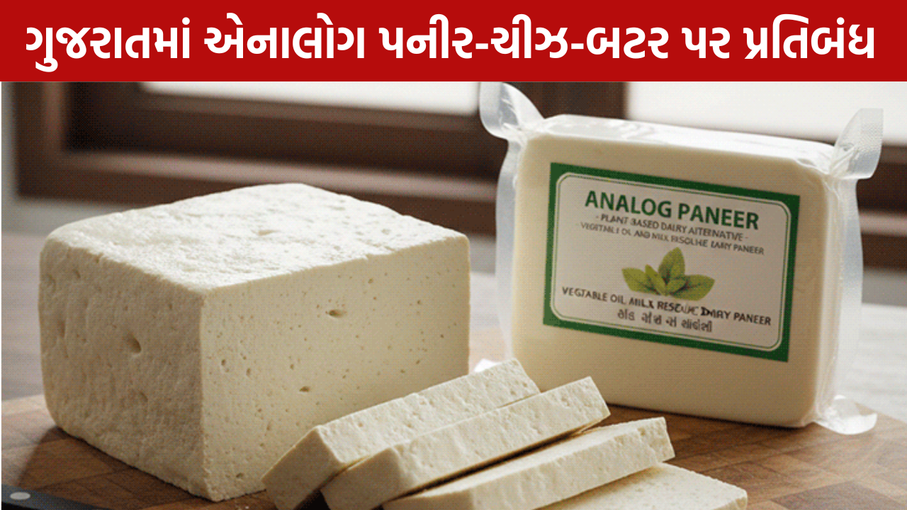 Analogue Paneer પર સરકારનો કડક પ્રહાર!