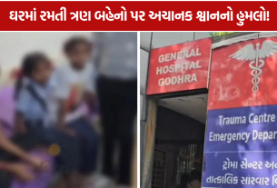 Panchmahal Stray Dog Attack: ઘરના આંગણામાં રમતી 3 સગી બહેનો પર હુમલો