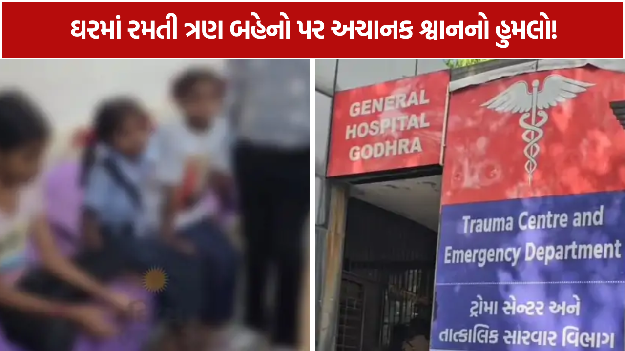 Panchmahal Stray Dog Attack: ઘરના આંગણામાં રમતી 3 સગી બહેનો પર હુમલો