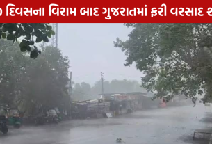 Rain Gujarat: 10 દિવસના વિરામ બાદ વરસાદ