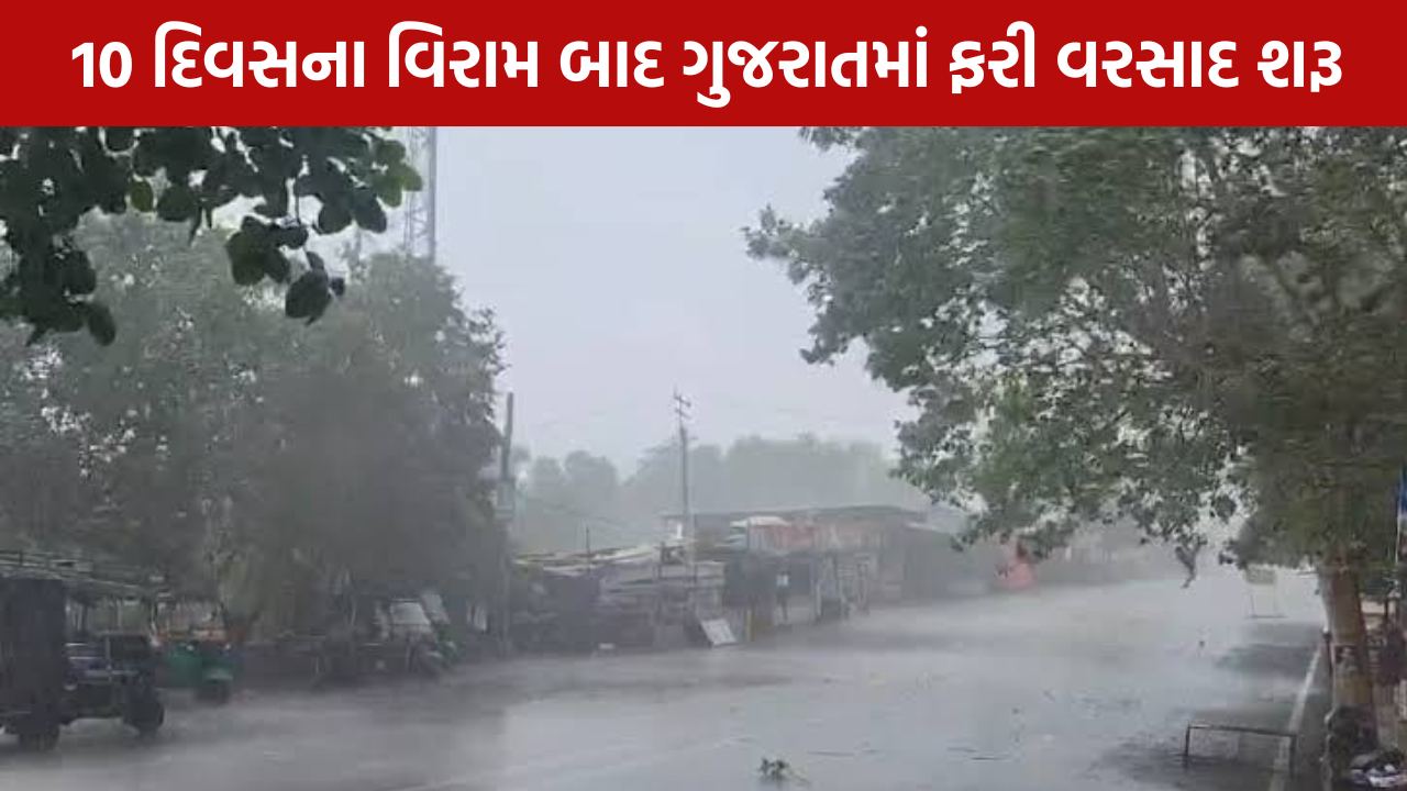 Rain Gujarat: 10 દિવસના વિરામ બાદ વરસાદ