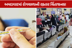 Ahmedabad Monsoon Diseases: 23 દિવસમાં ડેન્ગ્યુના 147 કેસ, ઝાડા-ઉલ્ટીના 273 કેસથી ચિંતા