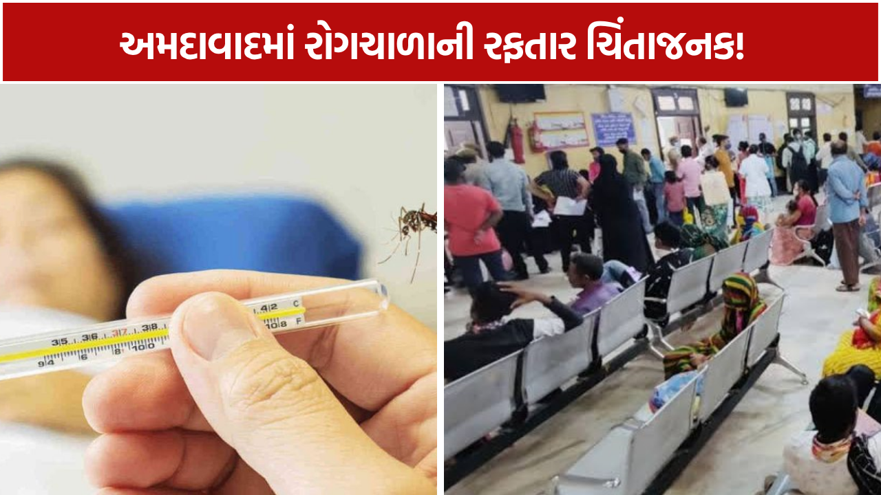 Ahmedabad Monsoon Diseases: 23 દિવસમાં ડેન્ગ્યુના 147 કેસ, ઝાડા-ઉલ્ટીના 273 કેસથી ચિંતા