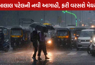 Gujarat Rain Forecast: 5 ઓગસ્ટથી બદલાશે હવામાન