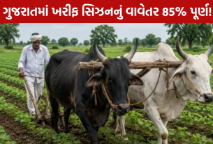 Gujarat Kharif Sowing 2026: 85% વાવેતર પૂર્ણ, કપાસ-મગફળી ખેડૂતોની પહેલી પસંદ