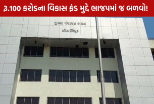 Tribal Development Fund Gujarat: 100 કરોડના વિકાસ ફંડ મુદ્દે ભાજપમાં જ બળવો