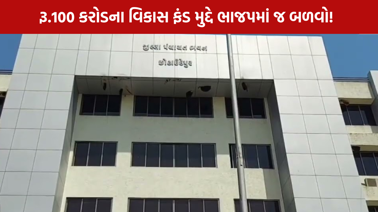 Tribal Development Fund Gujarat: 100 કરોડના વિકાસ ફંડ મુદ્દે ભાજપમાં જ બળવો