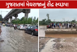 Heavy Rain Flood: કરોડોના વિકાસકામ ધોવાયા