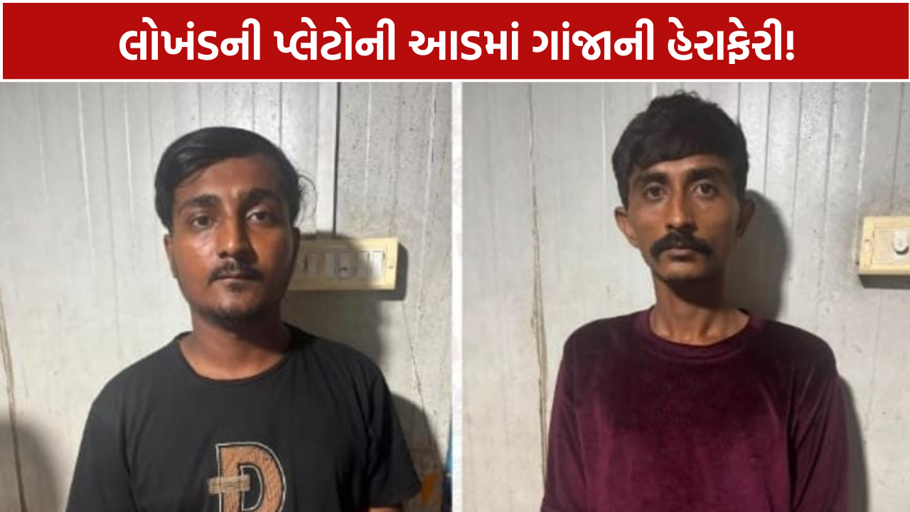 Rajkot Ganja Seizure: 204 કિલો સાથે 2 આરોપી ઝડપાયા