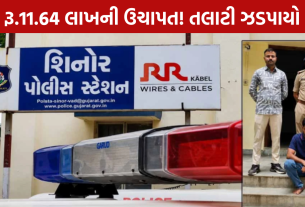 Shinor Talati Scam: 11.64 લાખની સરકારી રકમ કેસમાં ધરપકડ