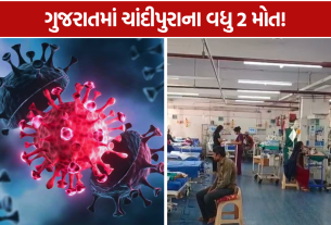 Chandipura Virus 2 Girl Death: ચાંદીપુરાનો મૃત્યુઆંક 27 થયો