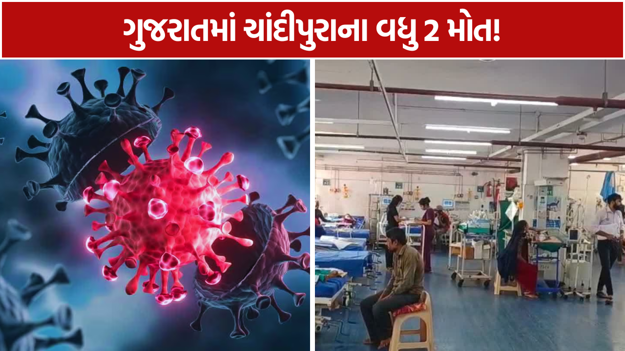 Chandipura Virus 2 Girl Death: ચાંદીપુરાનો મૃત્યુઆંક 27 થયો