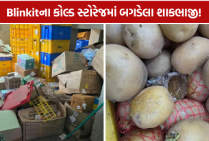 Blinkit Store Checking: ખાદ્ય સુરક્ષાને લઈને બેદરકારી સામે આવી