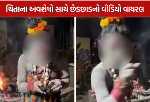 Ujjain Kinnar Aghori Video: ચિતા પાસે કિન્નર અઘોરીની કથિત હરકતનો વીડિયો વાયરલ