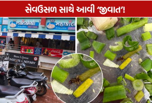 Vadodara Sev Usal: લીલી ડુંગળીમાં જીવાત દેખાતા ગ્રાહકે બનાવ્યો વીડિયો