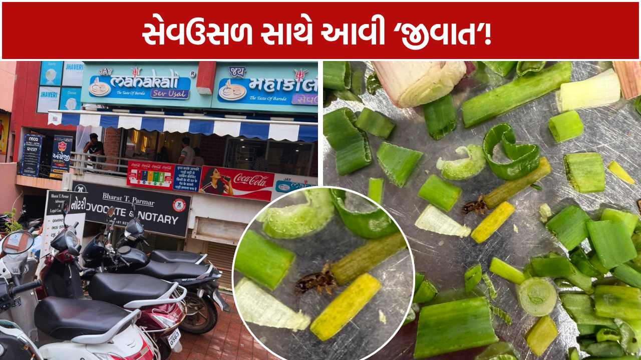 Vadodara Sev Usal: લીલી ડુંગળીમાં જીવાત દેખાતા ગ્રાહકે બનાવ્યો વીડિયો