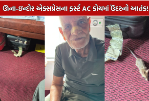 Rat Bite Train: 78 વર્ષીય વૃદ્ધને કરડતાં રેલવે સામે ઉઠ્યા સવાલો