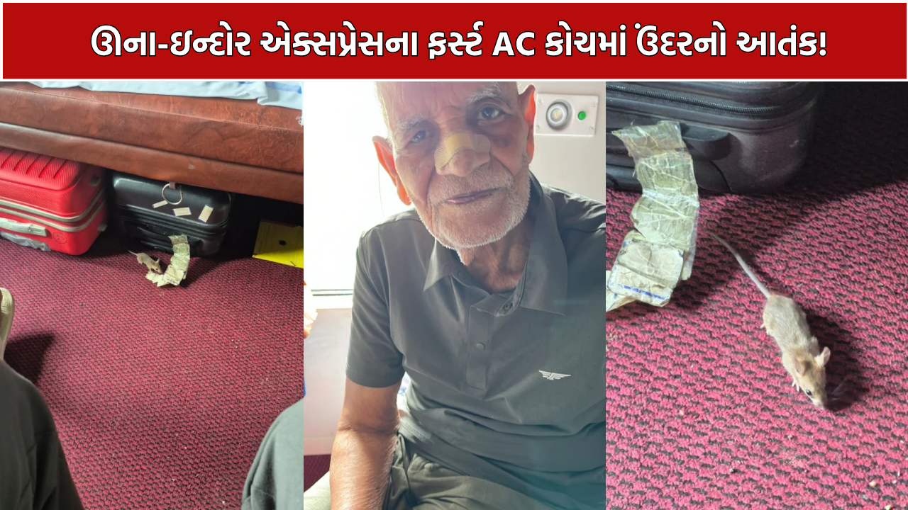 Rat Bite Train: 78 વર્ષીય વૃદ્ધને કરડતાં રેલવે સામે ઉઠ્યા સવાલો