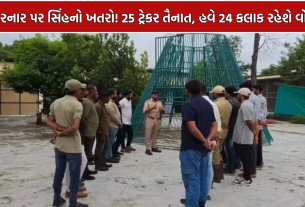Girnar Lion Attack: માનવ-સિંહ સંઘર્ષ રોકવા 25 ટ્રેકર તૈનાત, નવી-જૂની સીડી સહિત દાતાર પર સતત પેટ્રોલિંગ