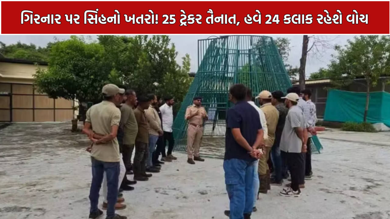 Girnar Lion Attack: માનવ-સિંહ સંઘર્ષ રોકવા 25 ટ્રેકર તૈનાત, નવી-જૂની સીડી સહિત દાતાર પર સતત પેટ્રોલિંગ