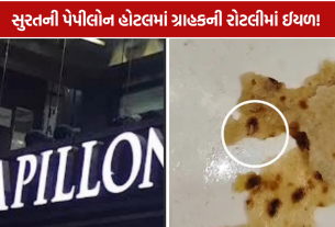 Papillon Hotel Surat: રોટલીમાંથી ઈયળ મળવાની ફરિયાદથી તંત્ર દોડતું થયું, હોટલમાં મળી ગંદકી