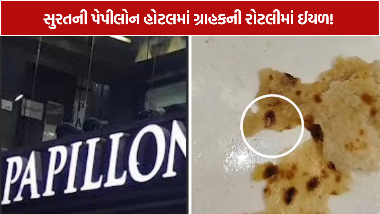 Papillon Hotel Surat: રોટલીમાંથી ઈયળ મળવાની ફરિયાદથી તંત્ર દોડતું થયું, હોટલમાં મળી ગંદકી