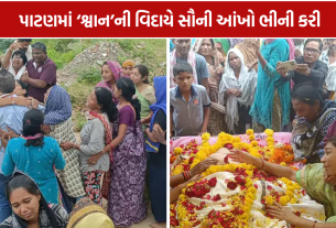Patan Dog Funeral: 8 વર્ષના સાથ બાદ પરિવારની ભીની આંખે વિદાય