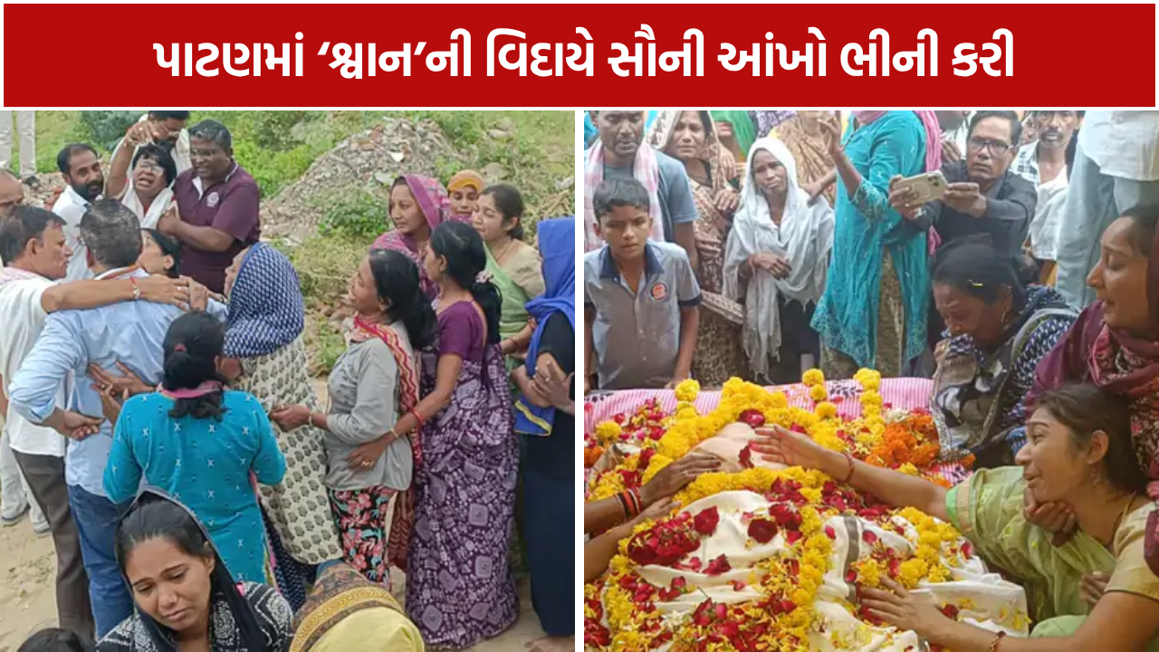 Patan Dog Funeral: 8 વર્ષના સાથ બાદ પરિવારની ભીની આંખે વિદાય